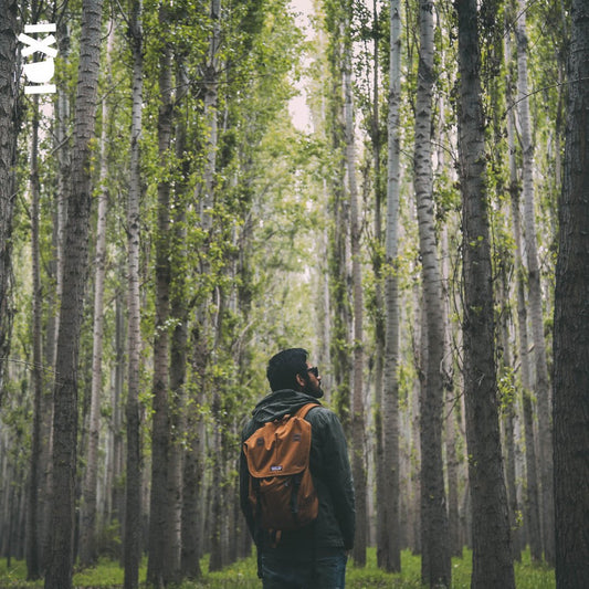 Sustainable Style Tips for the Everyday Adventurer: How to Embrace a Greener Wardrobe with IXDI - IXDI