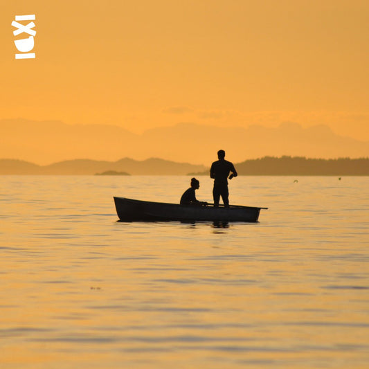 The Art of Taking Nothing Personally: Embrace Emotional Wellness and Mental Freedom with IXDI - IXDI