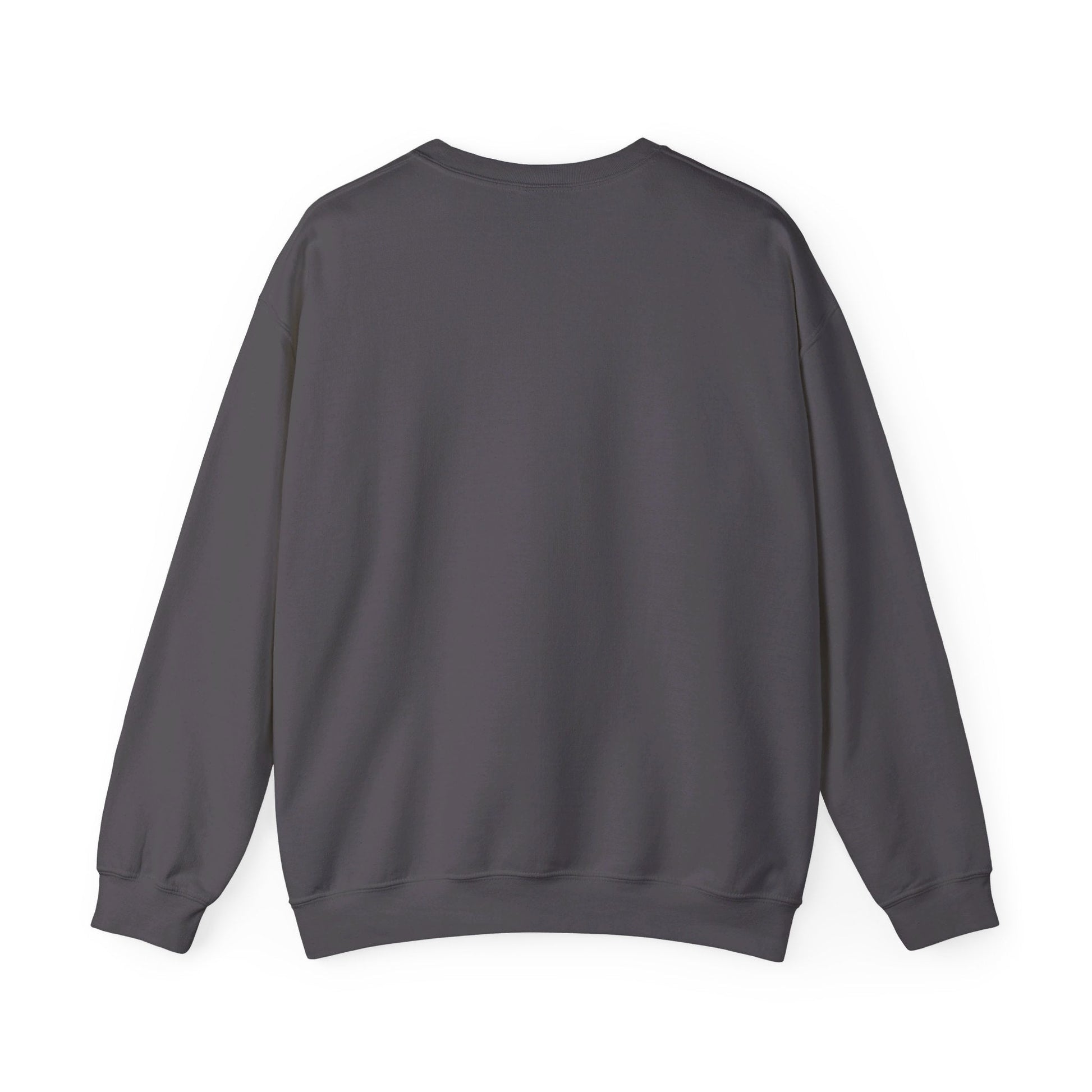 IXDI Monochrome Heavy Blend Crewneck Sweatshirt - IXDI